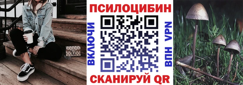 Псилоцибиновые грибы Psilocybine cubensis  мега рабочий сайт  Палласовка  где найти  